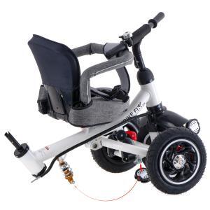 Tricicleta si Carucior pentru copii Premium TRIKE FIX V3 culoare Gri - Image 24