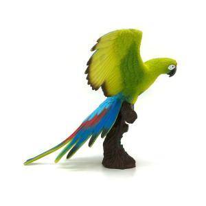 Papagal Macaw - Image 3