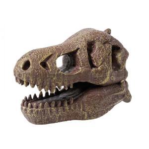 Kit de sapat - Craniu T-Rex - Image 3