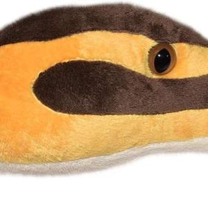Sarpe BALL PYTHON - Image 4